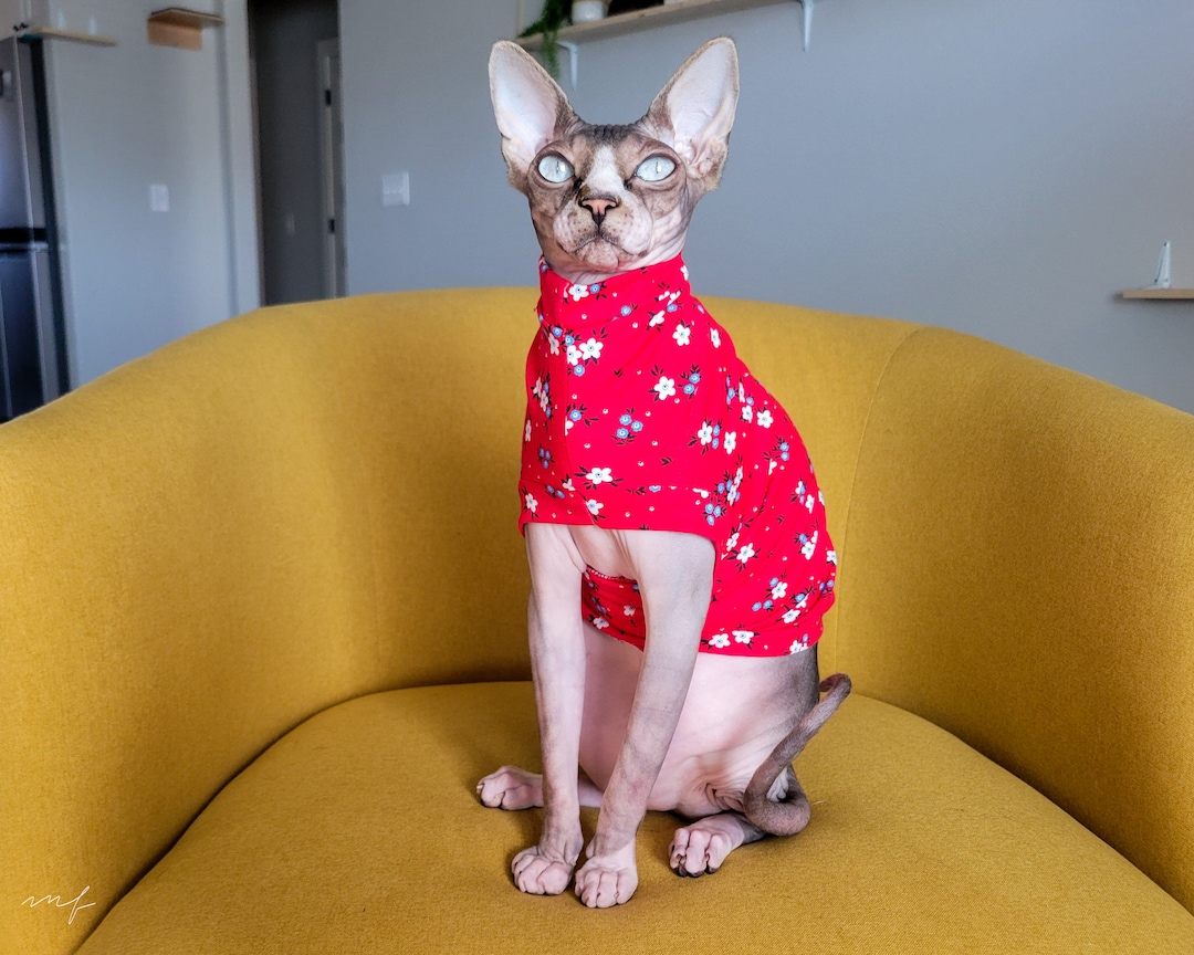 Sphynx Cat Shirt Red Flowers Cat Clothes Etsy