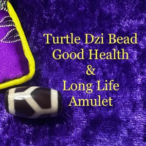 Puede incluir: Un amuleto de cuentas Dzi de tortuga con el texto "Good Health & Long Life Amulet" sobre una superficie de terciopelo púrpura. La cuenta es marrón y blanca, y una bolsa púrpura con ribete amarillo está en la esquina superior izquierda.