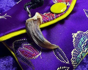 Äkta Coyote Claw Protection Spell Amulett halsband Wolf Shamanic Protective Shield Talisman hänge