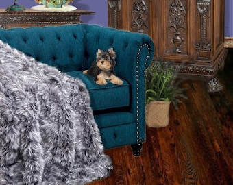 Könnte beinhalten: Ein blaues Samtsofa in Teal mit einer grauen Kunstfelldecke und einem kleinen Yorkshire Terrier, der auf dem Sitz sitzt. Das Sofa steht in einem Raum mit dunklem Holzboden und einem geschnitzten Holzschrank im Hintergrund.