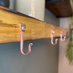 May include: Three copper hooks are screwed into a wooden shelf. The hooks are curved and have a shiny finish.