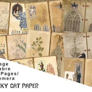 Macabre, Witchy, Spooky, Anatomy 16 Full Pages | Ephemera | Journal Embellishments & Inserts | Junk Journal Supplies | Digital Download