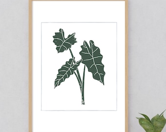 Alocasia plant print,Digital art print,Philipines native plant print,Digital download,Nature decor,Home decor DIY,Floral illustration art