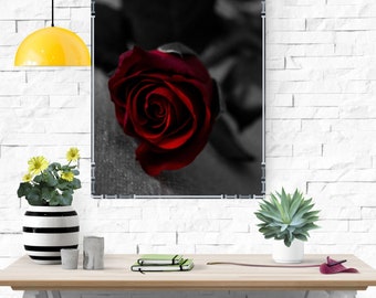 Arte de parede digital Red Rose para impressão, download instantâneo, 16x20, JPG