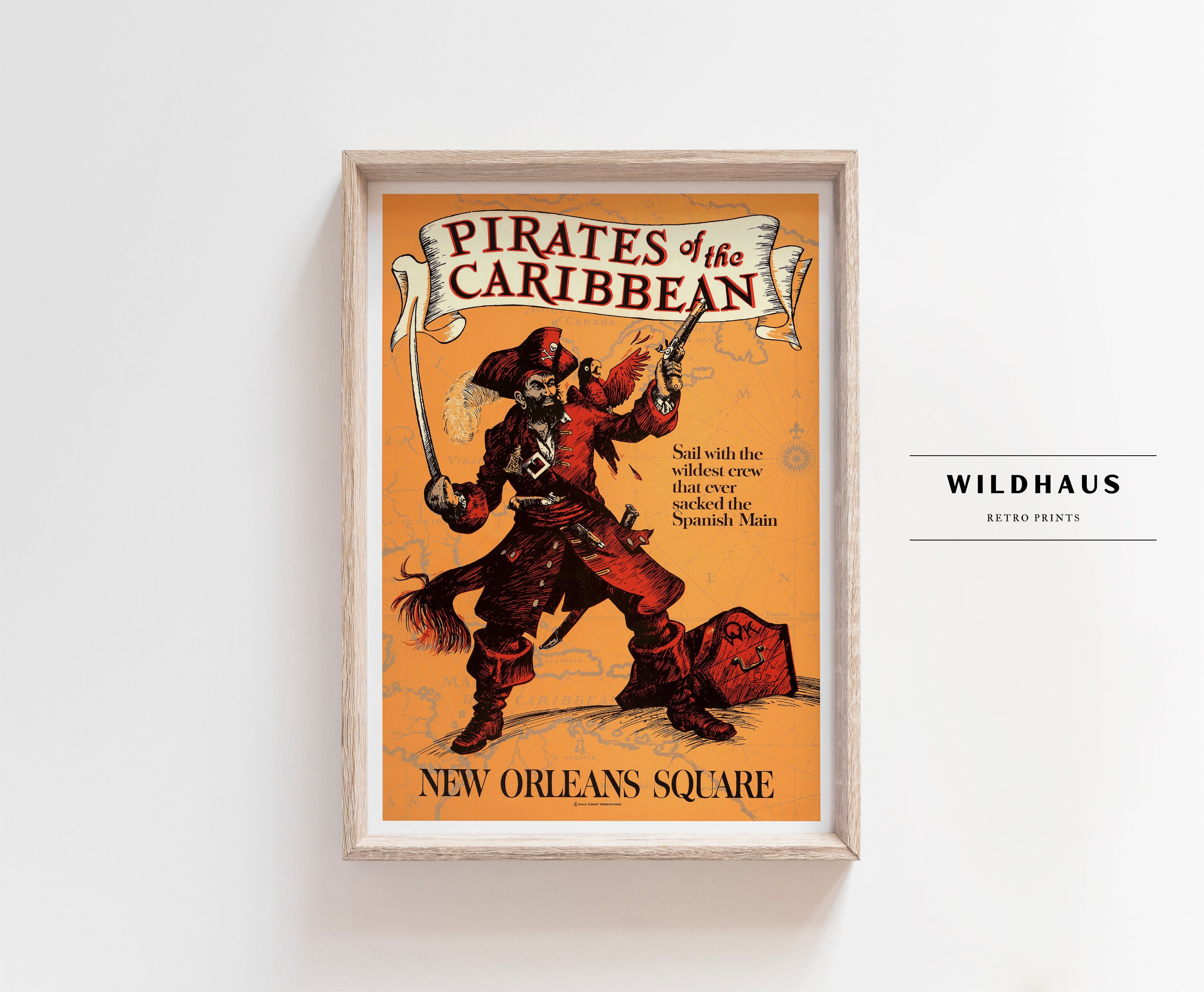 Amazon.com: Walt Disney Home Entertainment, Pirates of the
