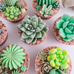 Succulent Soap, Perfect Gift for Succulent Lover, Plant Lover Soap Gift, Housewarming Gift Basket Idea, Boho Bathroom Decor, Corporate Gift