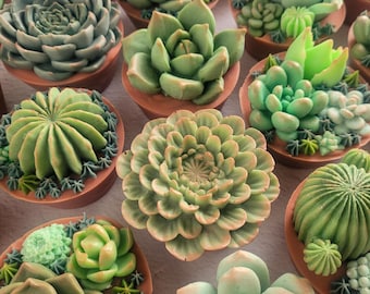 Succulent Soap Clay Pot Arrangement, Boho Bathroom & Kitchen Decor, Realtor Client Gift, Hostess or Teacher Appreciation Present