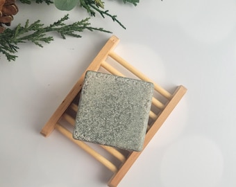 Sea Salt and Aloe Exfoliating Handmade Soap, Eucalyptus and Mint Scented Spa Bars