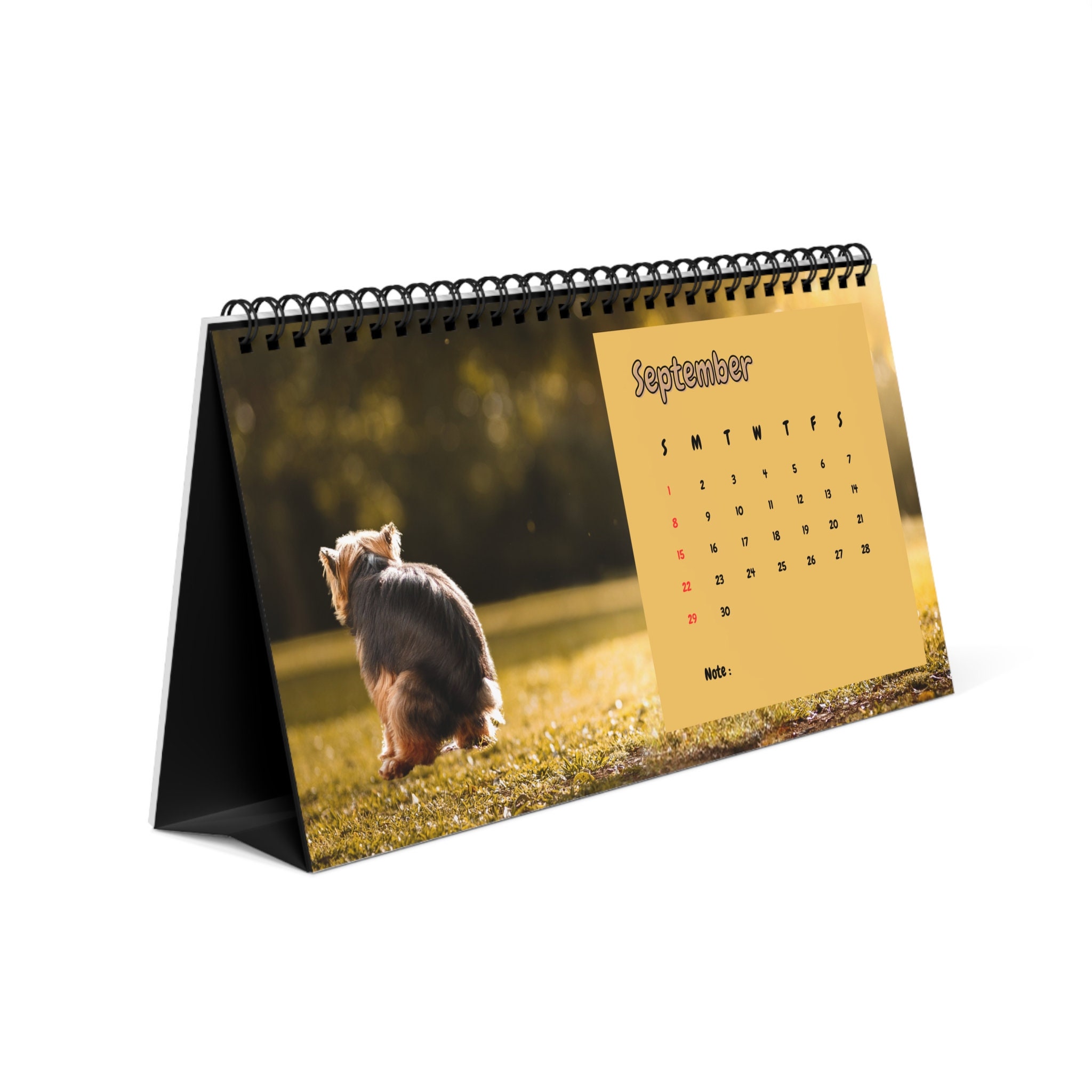 2024 Dog Pooping Desk Calendar Pooping Pooches Funny Gag Etsy Australia