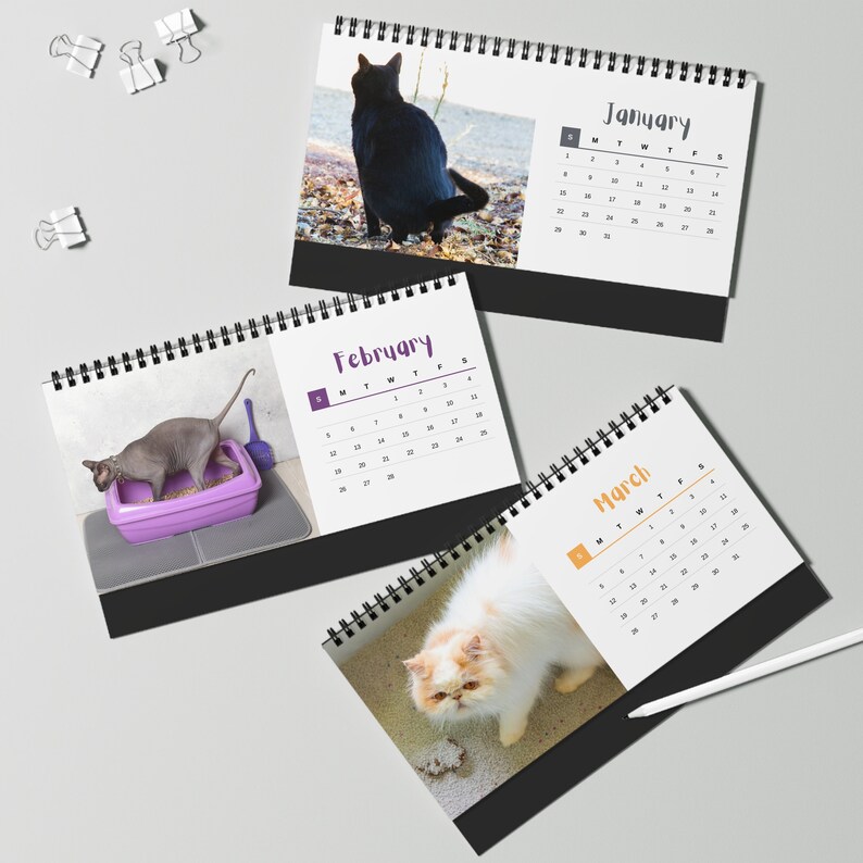 Cats Pooping 2023 Desk Calendar Cats Gifts for Her Cat Lover Etsy