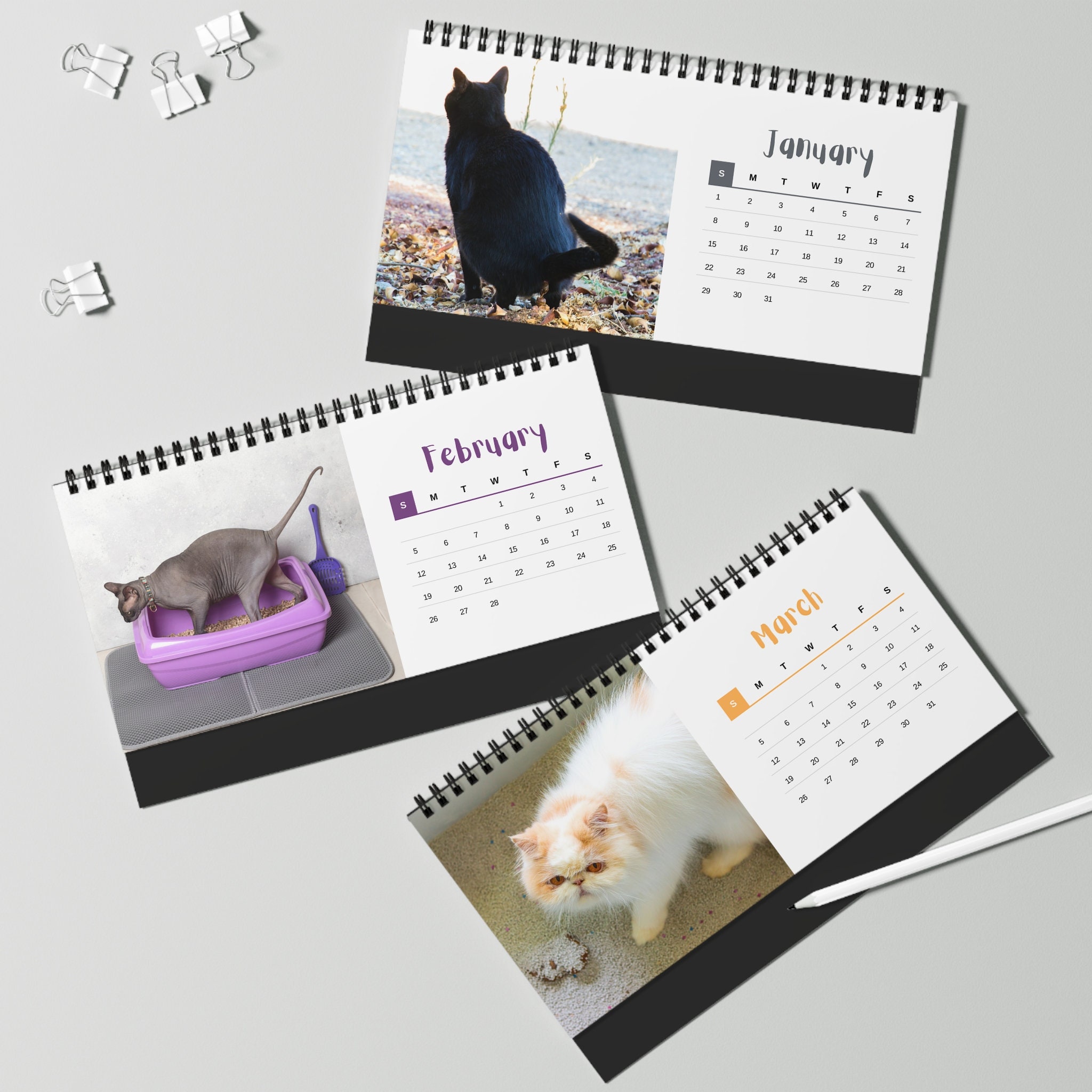 cats-pooping-2023-desk-calendar-cats-gifts-for-her-cat-lover-etsy