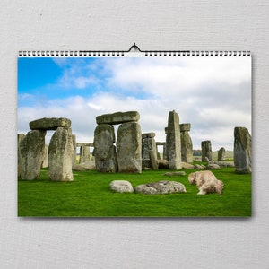 Hilarious 2024 Dog Pooping Calendar: Dogs Pooping at Famous - Etsy Hong
