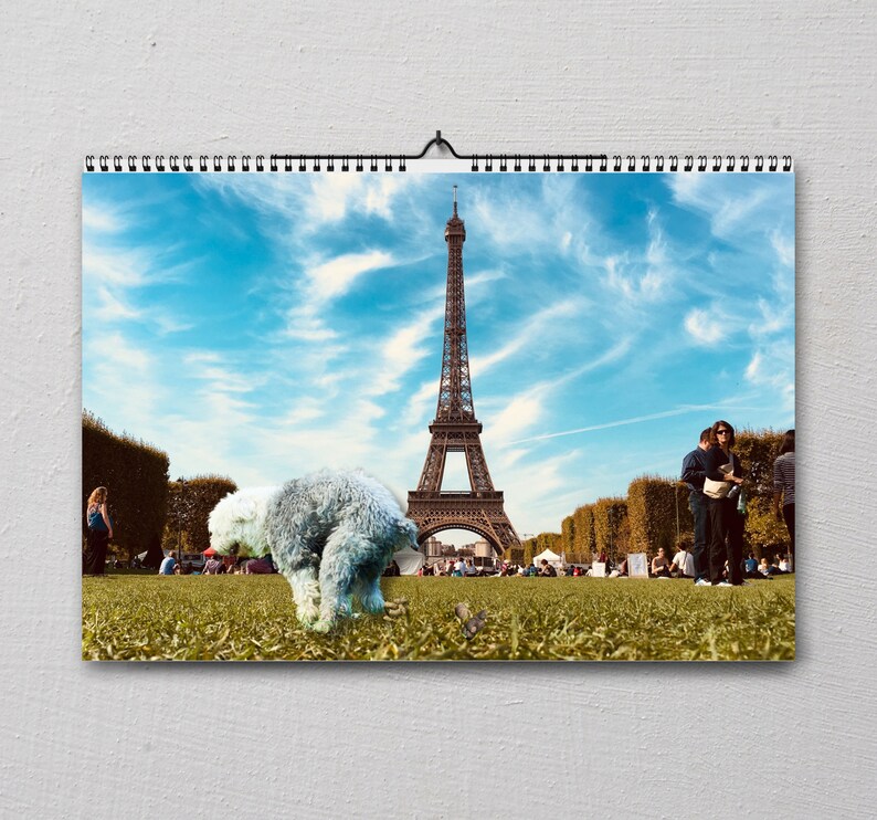 Hilarious 2024 Dog Pooping Calendar: Dogs Pooping at Famous - Etsy Hong