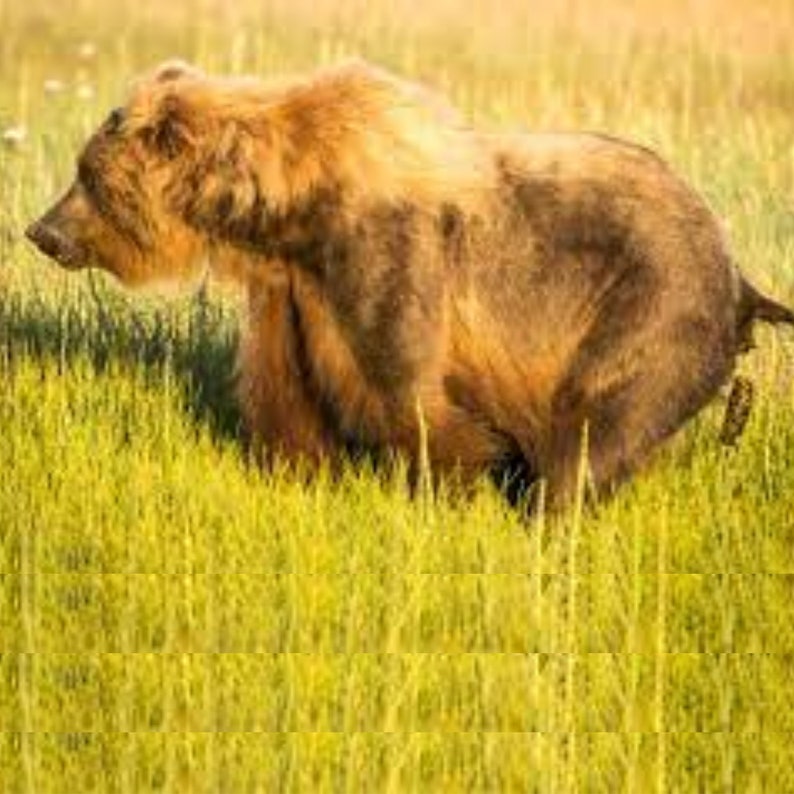 2024 Poop Calendar Pooping Calendar Funny Gifts Gag Gifts - Etsy UK 2024 Poop Calendar Pooping Calendar Funny Gifts Gag Gifts - Etsy UK