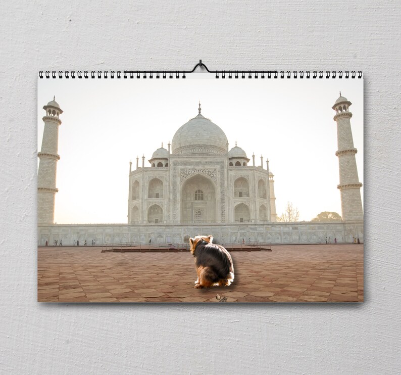 Hilarious 2024 Dog Pooping Calendar: Dogs Pooping at Famous - Etsy Hong