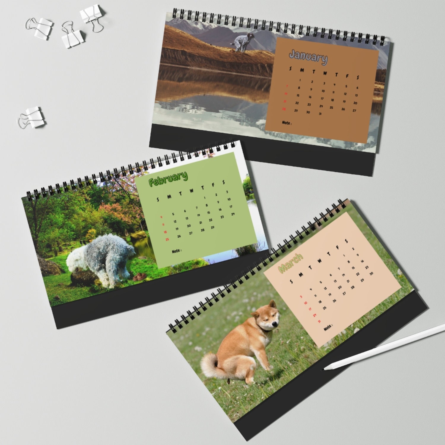 2024 Dog Pooping Desk Calendar Pooping Pooches Funny Etsy Australia