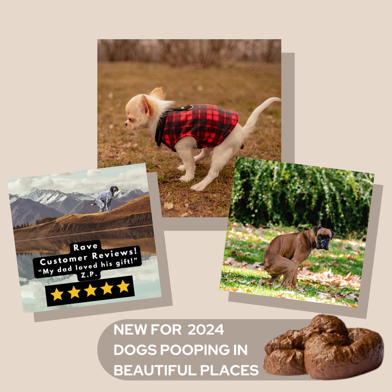 2024 Dogs Pooping in Beautiful Places Funny Wall Calendar Gag Etsy