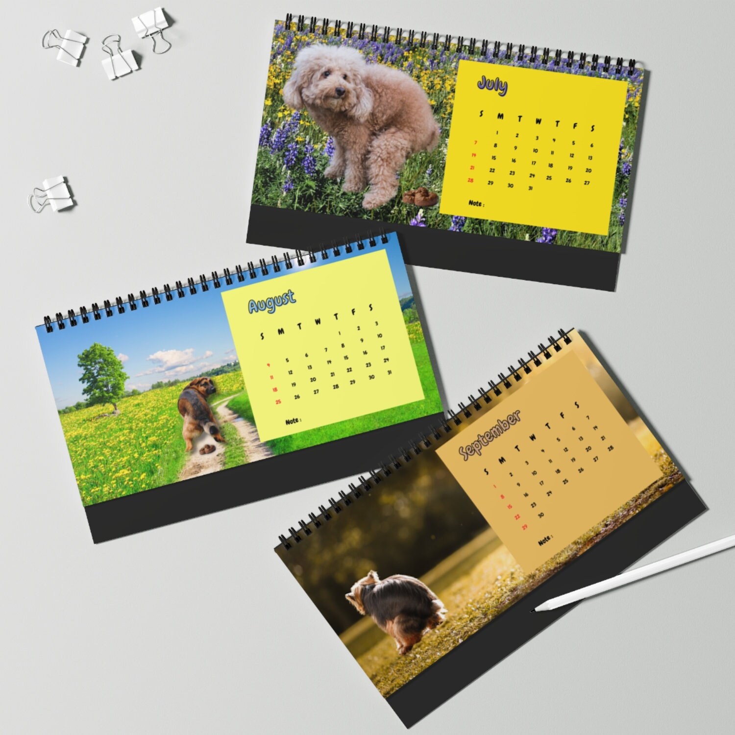 2024 Dog Pooping Desk Calendar Pooping Pooches Funny Etsy Australia