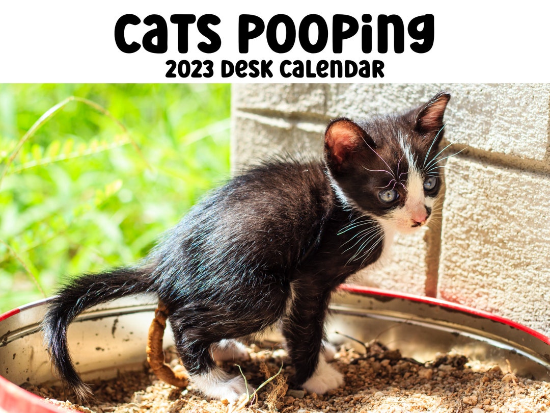 Cats Pooping 2023 Desk Calendar Cats Gifts for Her Cat Lover Etsy