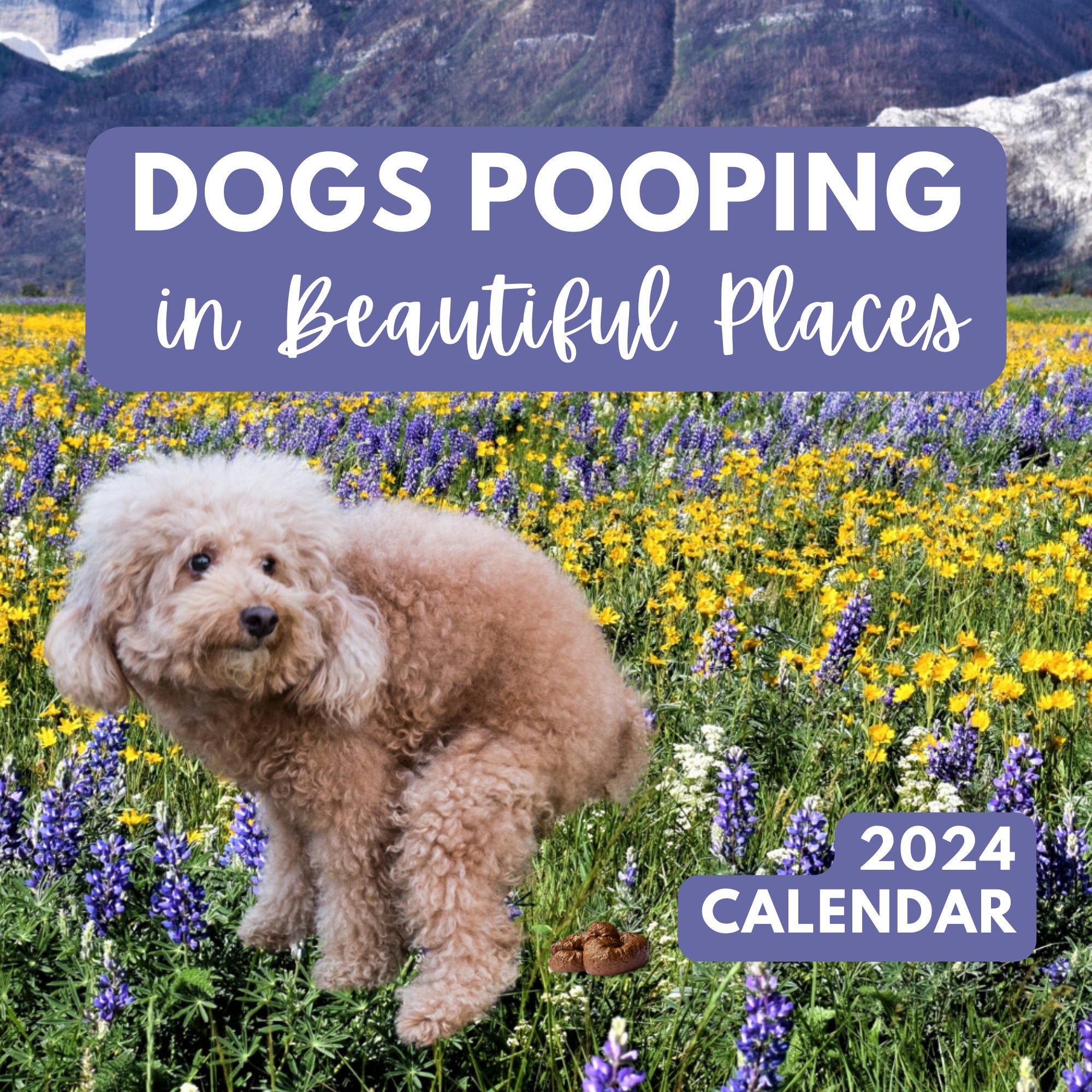 2024-dogs-pooping-in-beautiful-places-funny-wall-calendar-gag-gift-secret-santa-white-elephant-yankee-swap-dad-husband-him-etsy-sweden