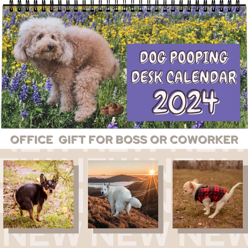 2024 Dogs Pooping in Beautiful Places Funny Wall Calendar Gag Etsy