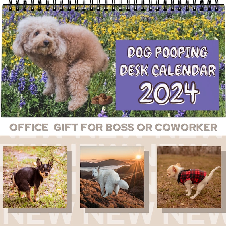 2024 Dogs Pooping in Beautiful Places Funny Wall Calendar Gag Etsy