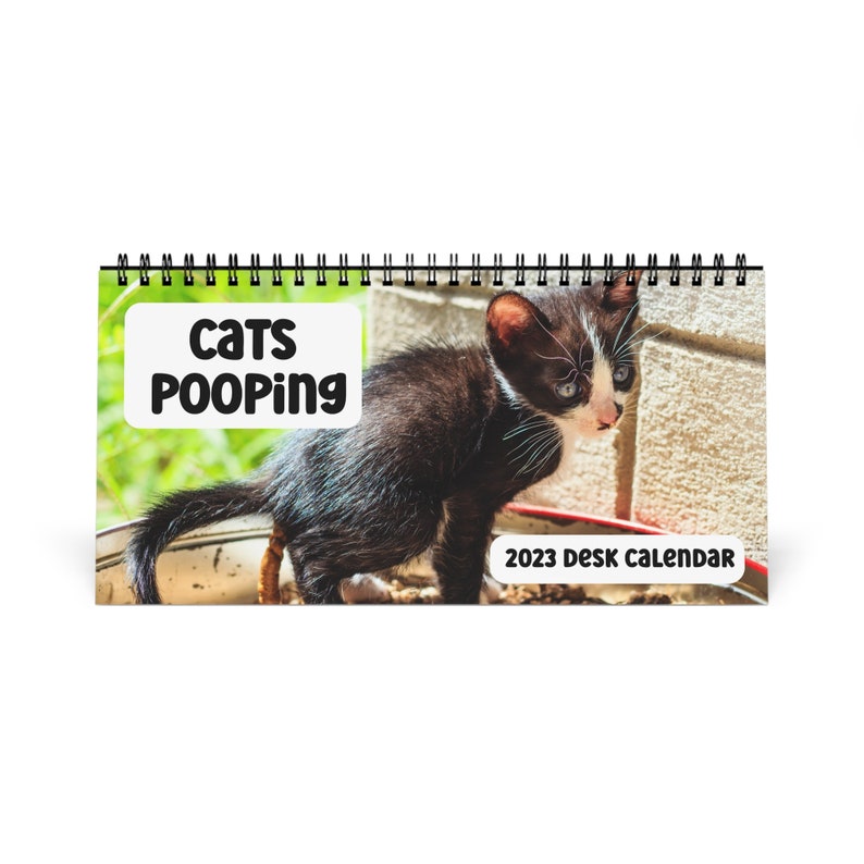 Cats Pooping 2023 Desk Calendar Cats Gifts for Her Cat Lover Etsy