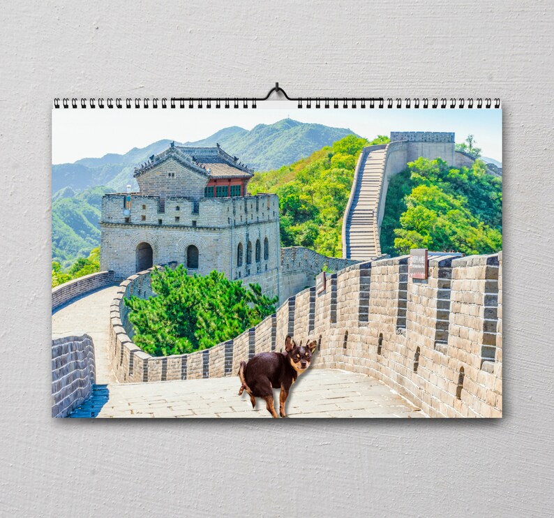 Hilarious 2024 Dog Pooping Calendar: Dogs Pooping at Famous - Etsy