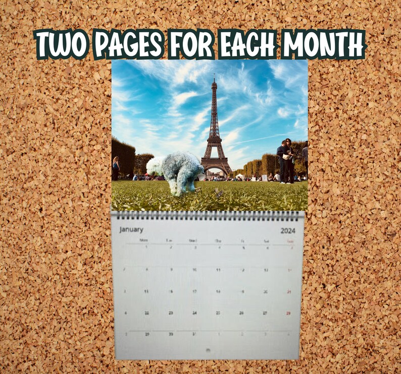 Hilarious 2024 Dog Pooping Calendar: Dogs Pooping at Famous - Etsy Hong