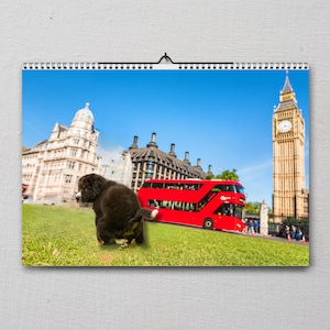 Hilarious 2024 Dog Pooping Calendar: Dogs Pooping at Famous - Etsy Hong