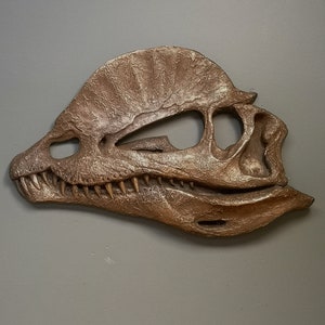 Dilophosaurus dinosaur Skull wall sculpture in Bronze