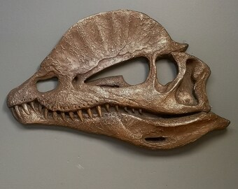 Dilophosaurus dinosaur Skull wall sculpture in Bronze