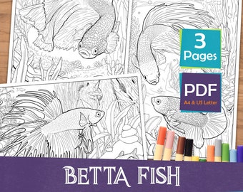 Printable Adult Colouring Pages | Betta Fish | Digital Download | 3 Pages