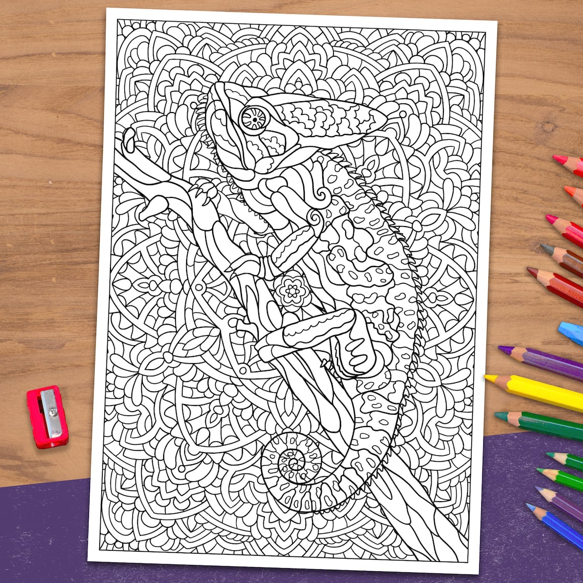 Printable Adult Colouring Pages Mandala Animals Digital - Etsy