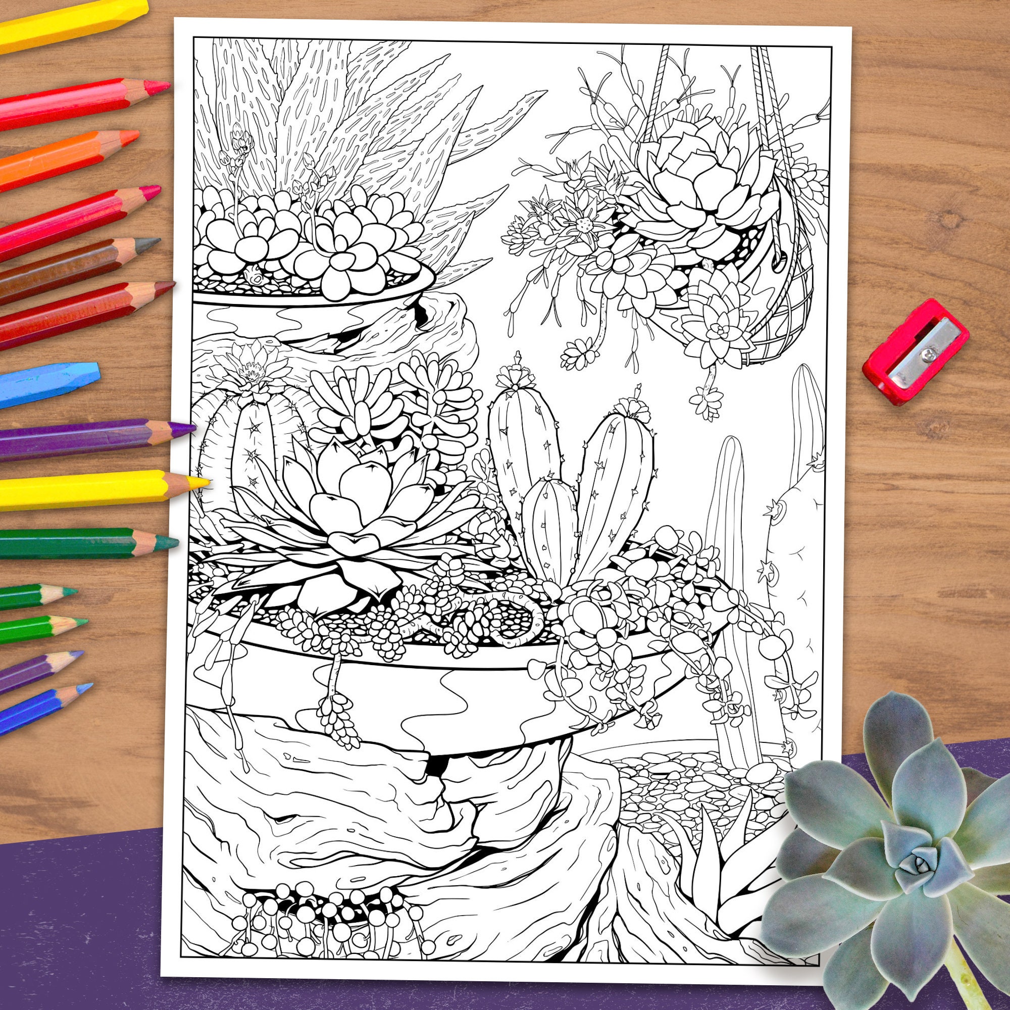 Printable Adult Colouring Pages | Cactus &amp; Succulents | Digital ...