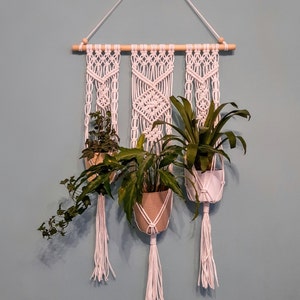 Pode incluir: Três suportes de plantas de macramé branco com três plantas diferentes penduradas neles. Os suportes são presos a uma haste de madeira e estão pendurados em uma parede azul clara.