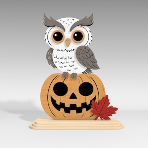 Pu&ograve; includere: Decorazione di Halloween in legno con un gufo dei cartoni animati appollaiato su una zucca intagliata. Il gufo &egrave; bianco, grigio e marrone con grandi occhi arancioni. Una foglia di acero rossa &egrave; attaccata alla zucca.