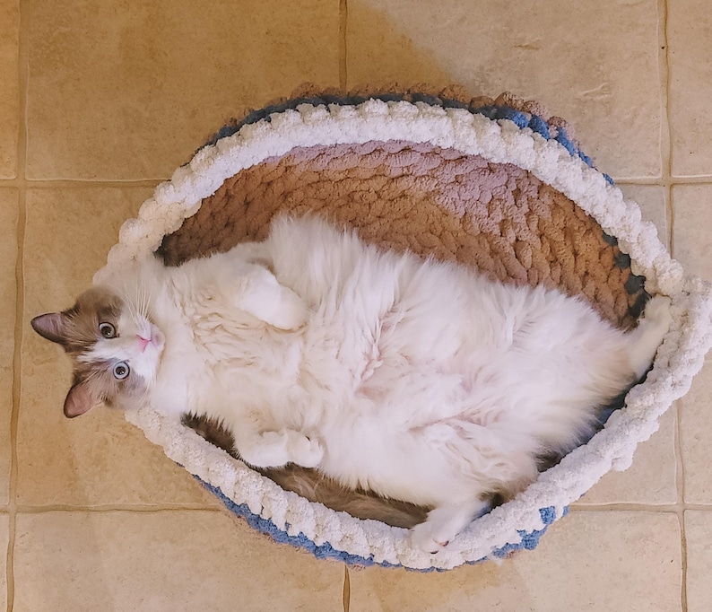May include: A white cat with blue eyes is lying on its back in a brown and white crocheted pet bed. The cat is looking directly at the camera.