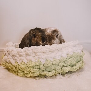 May include: Two rabbits, one brown and one gray, are nestled in a green and white knitted bed. The bed is made of large, fluffy yarn pom-poms.