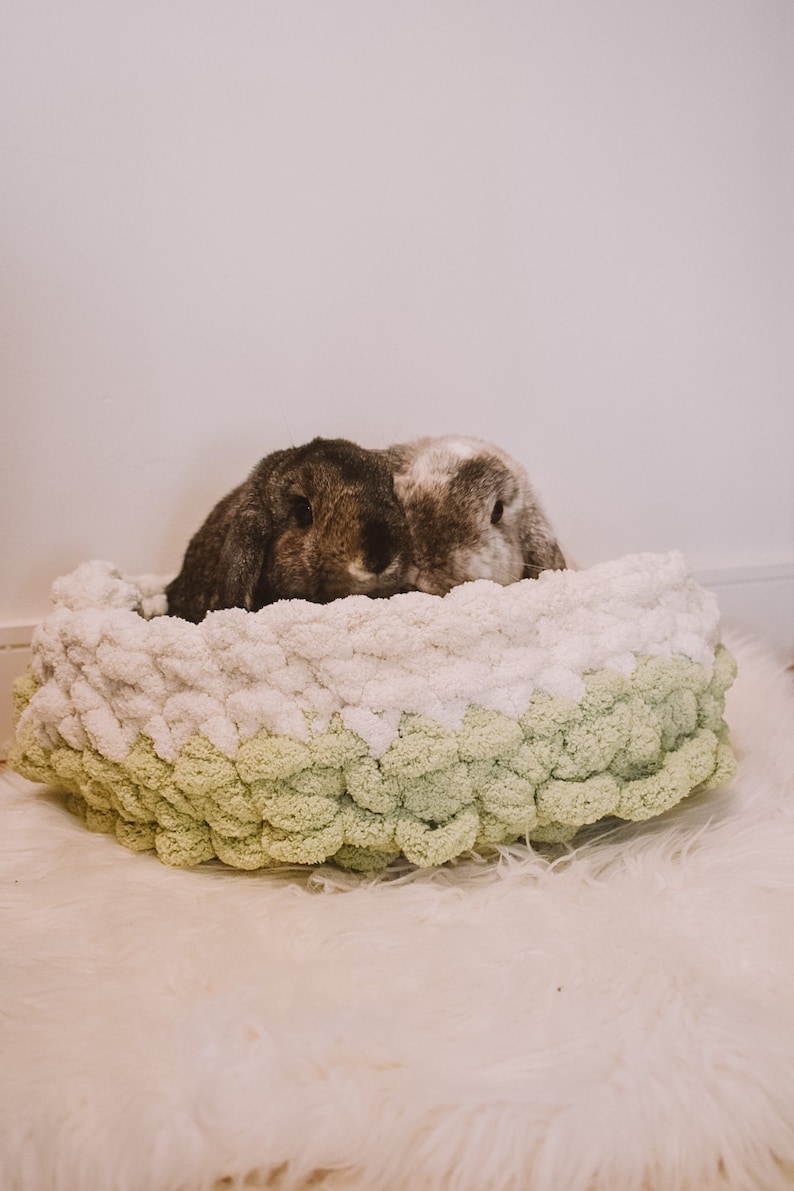May include: Two rabbits, one brown and one gray, are nestled in a green and white knitted bed. The bed is made of large, fluffy yarn pom-poms.