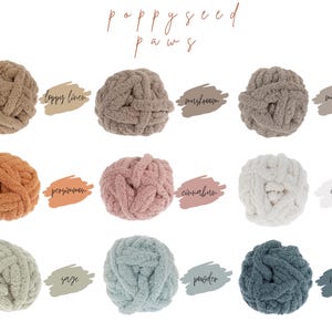 May include: Assortment of 12 colors of chunky yarn in a variety of shades, including poppy linen, marshmallow, cloud, and powder. The yarn is arranged in a grid pattern and labeled with the color name.
