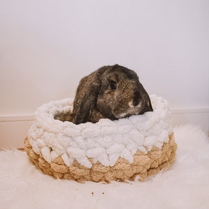 May include: A brown and gray rabbit resting in a white and beige knitted pet bed.