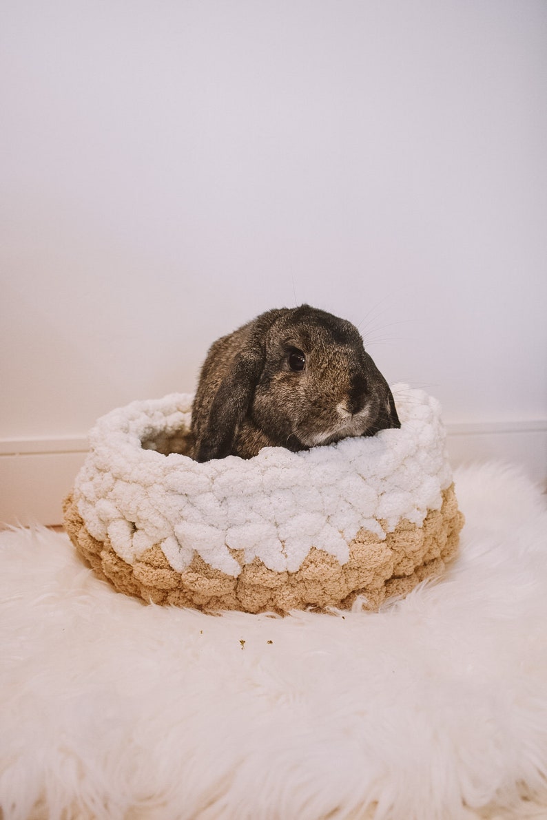 May include: A brown and gray rabbit resting in a white and beige knitted pet bed.