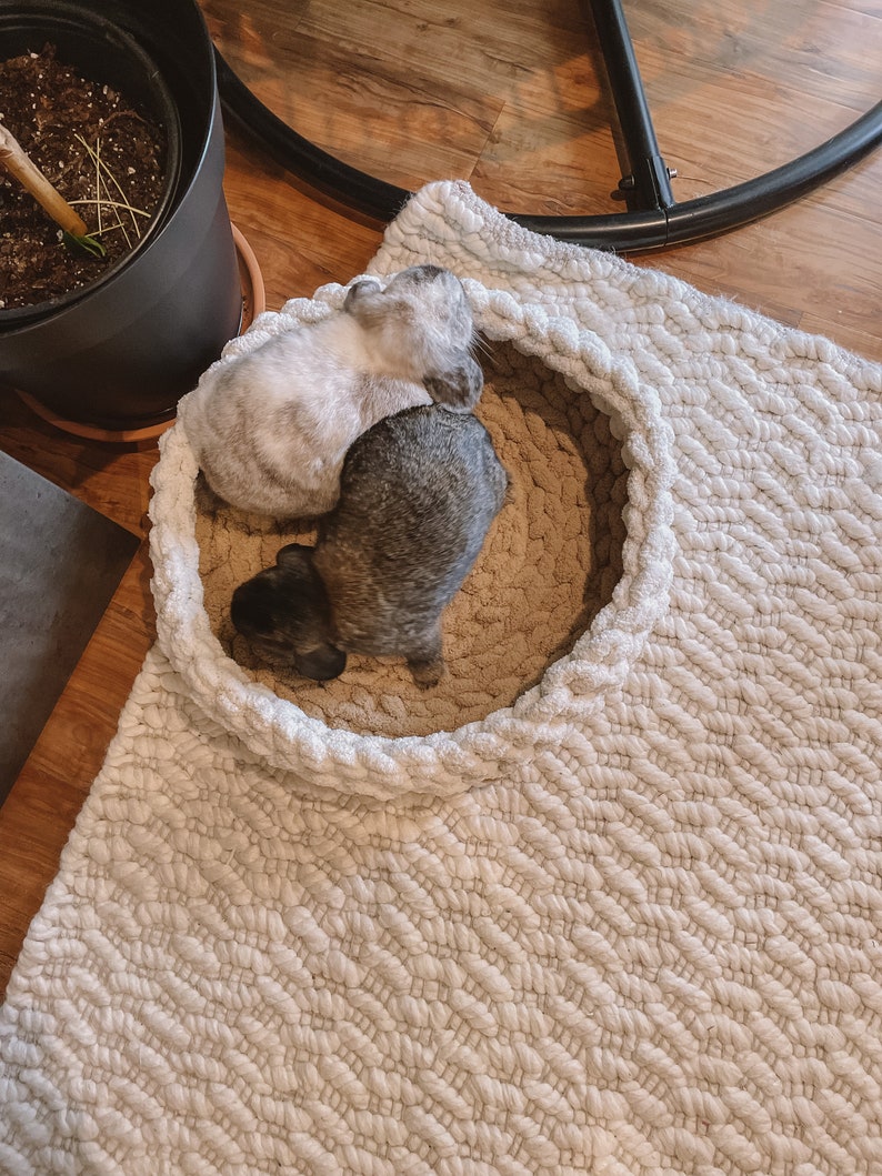 May include: Two small rabbits, one gray and one white, are curled up together in a white, crocheted pet bed.