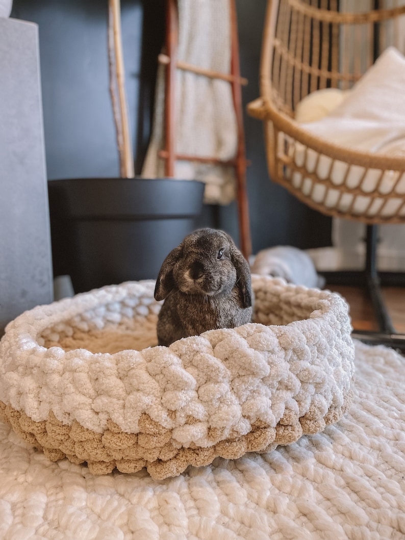 May include: A small brown rabbit sits in a white and beige crocheted pet bed. The bed is on a white fluffy rug.