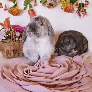 Könnte beinhalten: Zwei Kaninchen, eines grau und eines braun, sitzen auf einem rosa, blumenförmigen Bett. Das graue Kaninchen hat Schlappohren und eine weiße Brust. Das braune Kaninchen hat ein dunkleres Gesicht und schaut zur Seite.