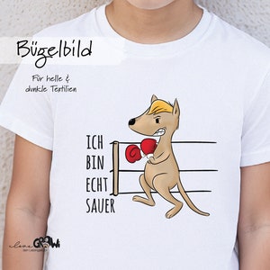Könnte beinhalten: Bügelbild mit einem Cartoon-Känguru, das Boxhandschuhe trägt und den Text "ICH BIN ECHT SAUER" in einem weißen Boxring. Der Text "Bügelbild" und "Für helle & dunkle Textilien" ist ebenfalls enthalten.