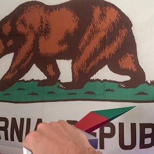 Puede incluir: Primer plano de una mano sosteniendo un objeto rectangular blanco frente a una bandera del estado de California. La bandera presenta un oso marrón caminando sobre un campo verde con las palabras "California Republic" impresas debajo.