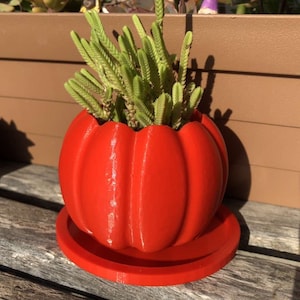 Puede incluir: Una maceta de cerámica roja brillante en forma de calabaza con un platillo a juego. La maceta tiene un diseño acanalado y está llena de una planta suculenta verde.