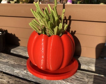 Pumpkin planter pot Halloween and Thanksgiving season, fall and autumn, for flowers and succulents at home spooky